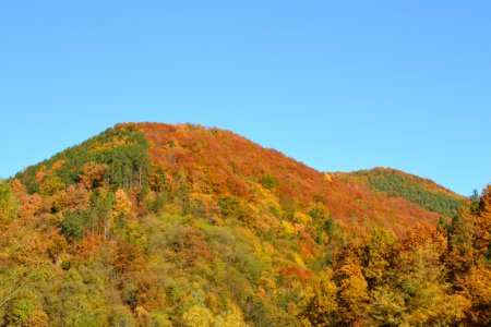 autumnal photo