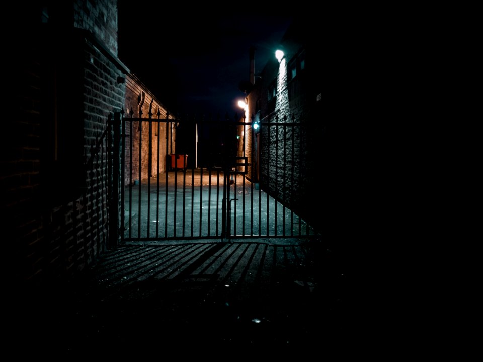 Nocturnal moth - Duality