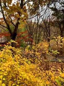 Akabane Nature Observatory Park in Kita-ku