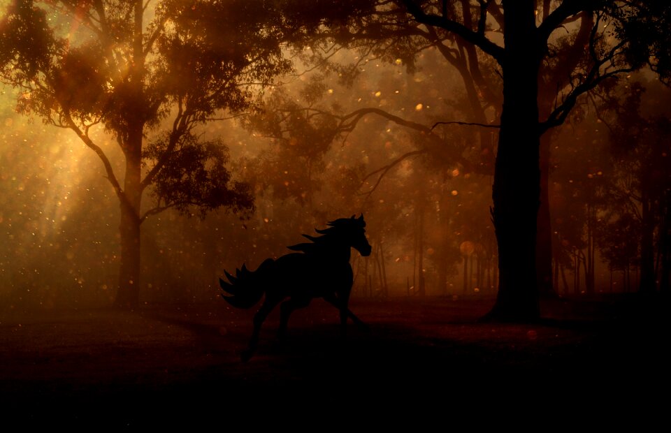 Horse gallop fairy tales