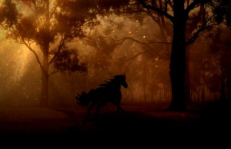 Horse gallop fairy tales photo