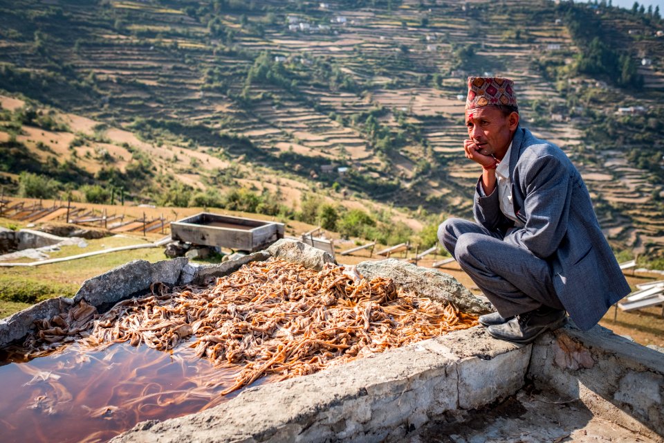 USAID Measuring Impact Conservation Enterprise Retrospective (Nepal; Asian Network for Sustainable Agriculture and Bioresrouces)
