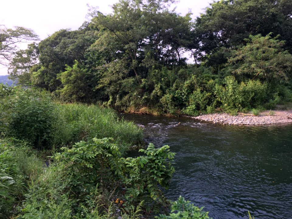 Tomioka in Ome-shi, Tokyo