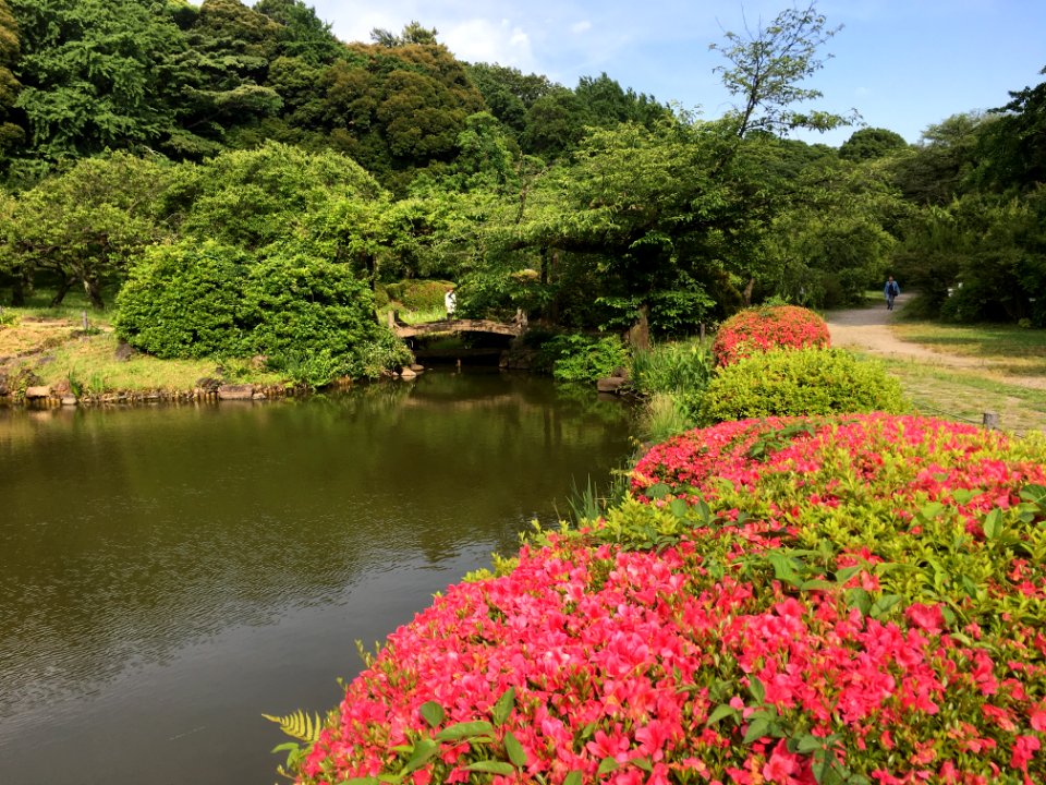 Koishikawa Botanical Garden in Bunkyo-ku, Tokyo