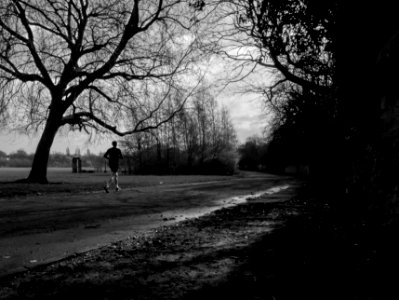 Princes Park dopo la pioggia
