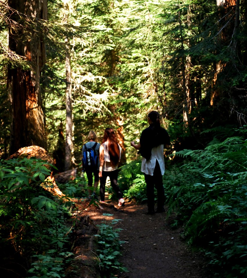 friends hiking Mount Baker