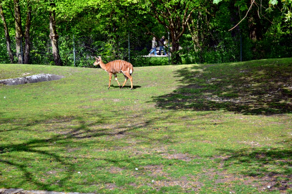 tierpark