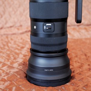 SIGMA 150-600 BALLANTI 9