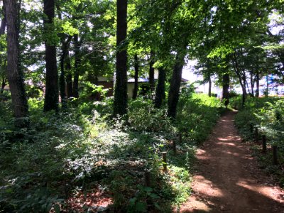 Koyama 5-chome in Higashikurume-shi