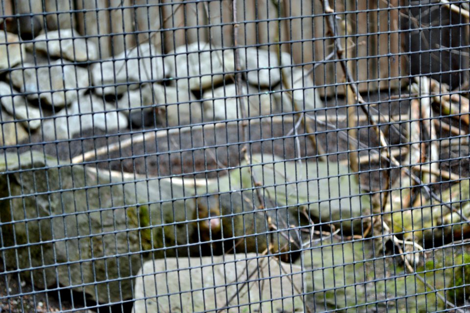 tierpark