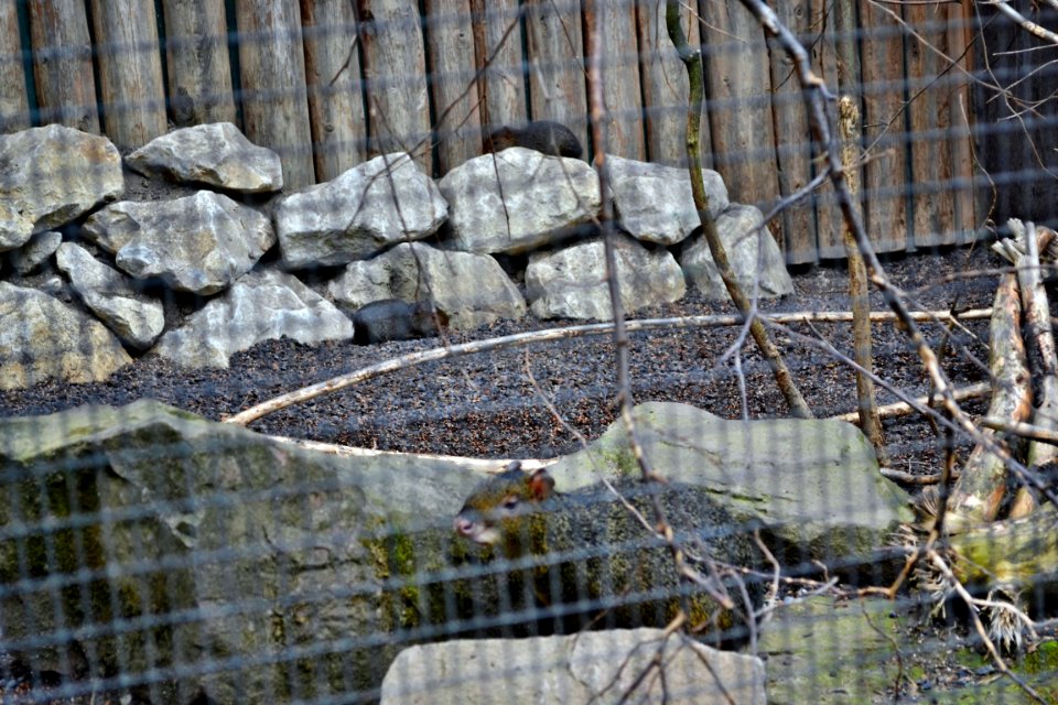 tierpark