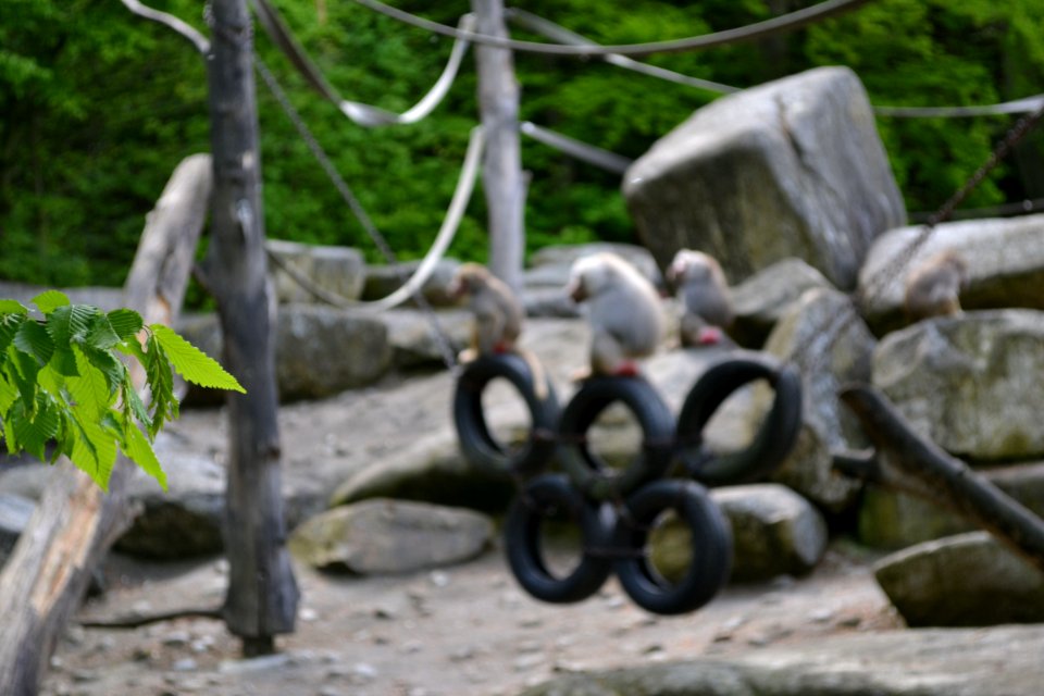 tierpark