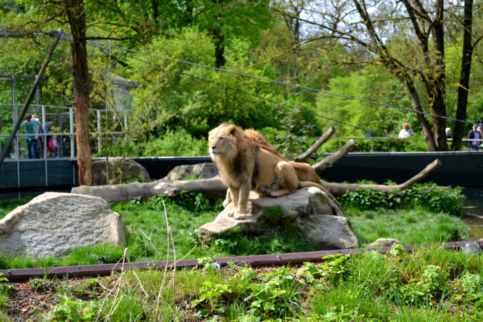 tierpark