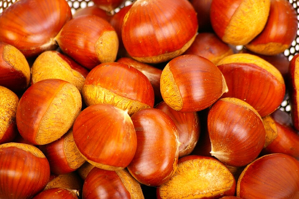 Thanksgiving fruit nut
