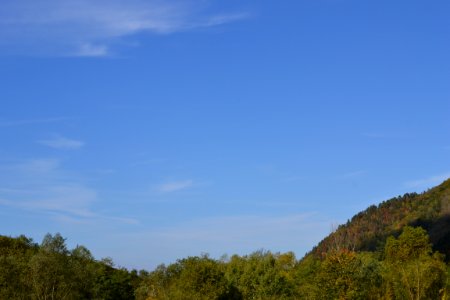 Nature