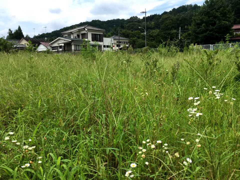 Tomioka in Ome-shi, Tokyo