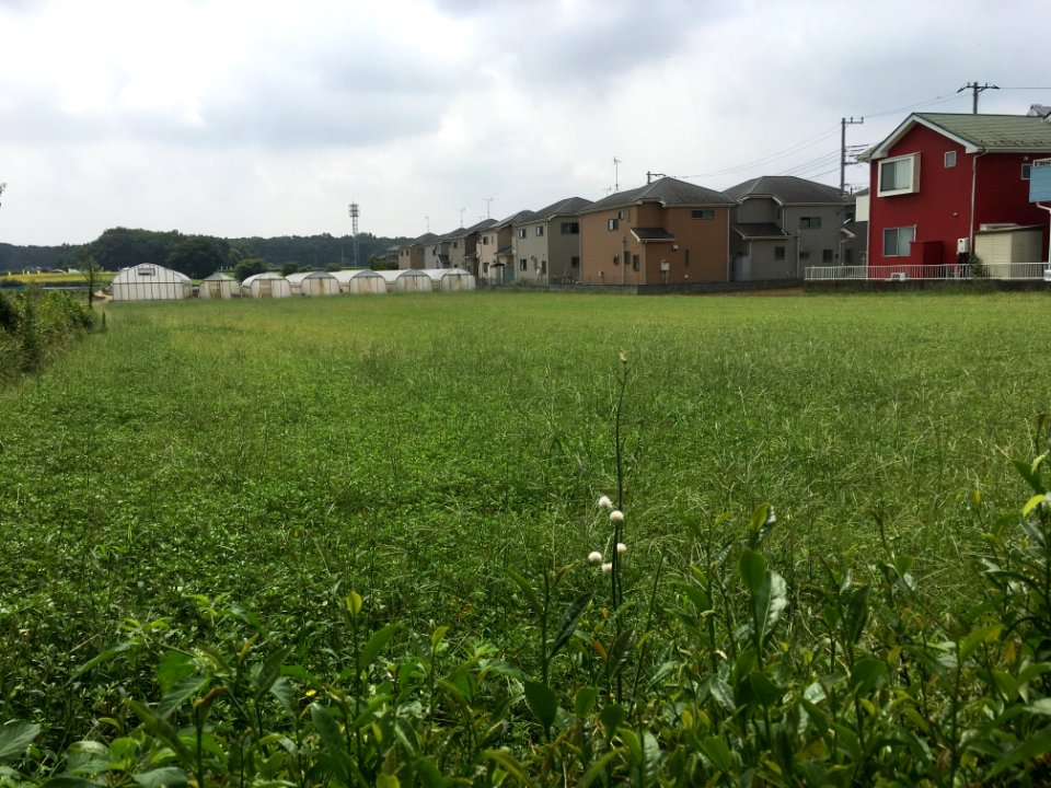 Shimokiyoto in Kiyose-shi