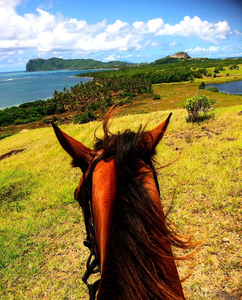 View from Between the ears at Vieux Fort , Saint Lucia