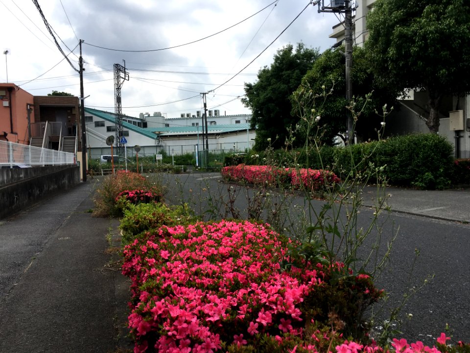 Akitsucho in Higashimurayama-shi
