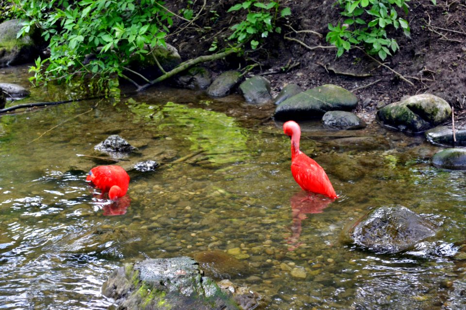 tierpark