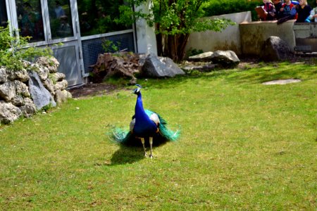 tierpark