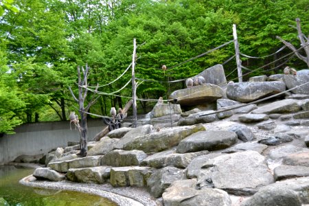 tierpark