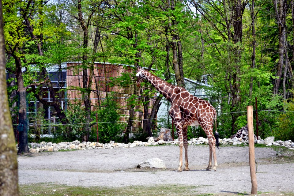 tierpark