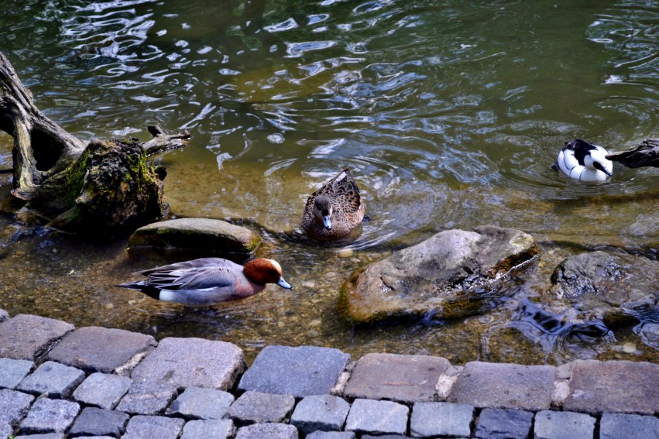 tierpark