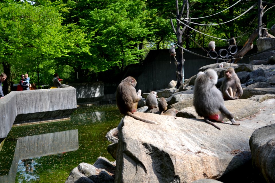 tierpark