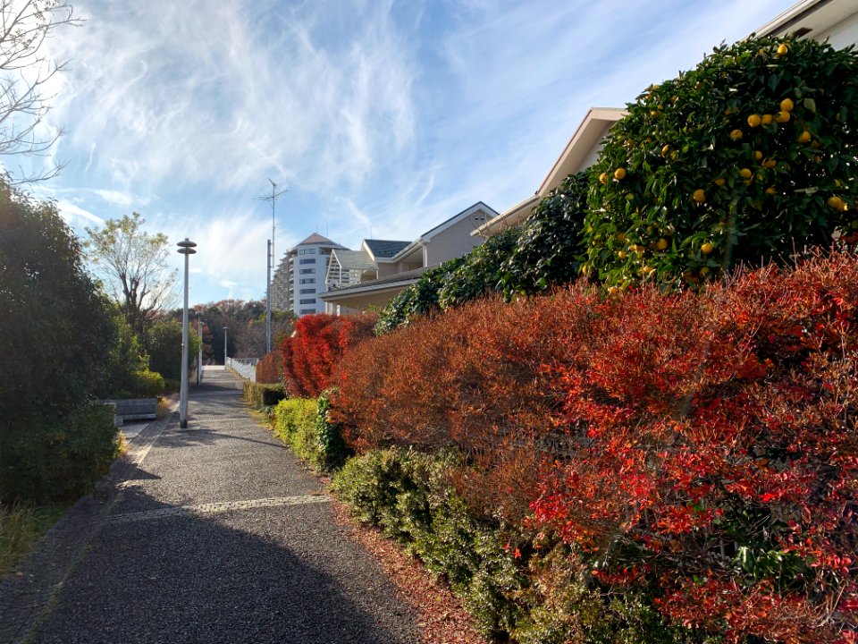 Koyodai in Inagi-shi