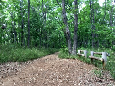 Hachikokuyama Park in Higashimurayama-shi 2