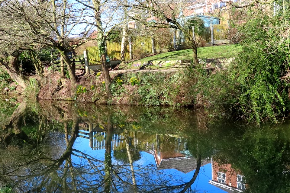 Wonderful Wheelock