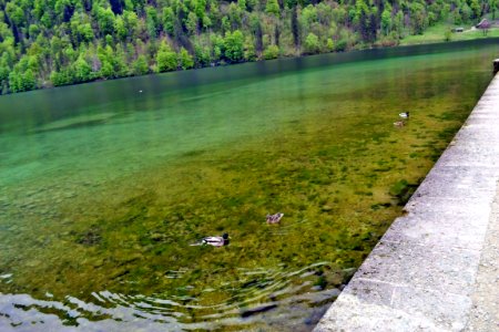 Königssee