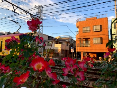 Toden-Arakawa Line in Nishiogu, Arakawa-ku, Tokyo 3