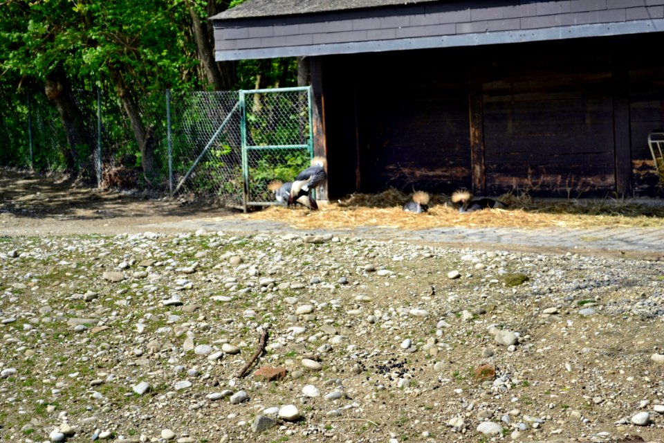 tierpark
