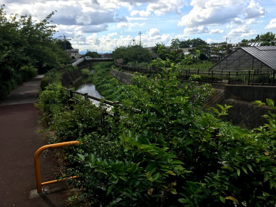 Ochikawa in Hino-shi