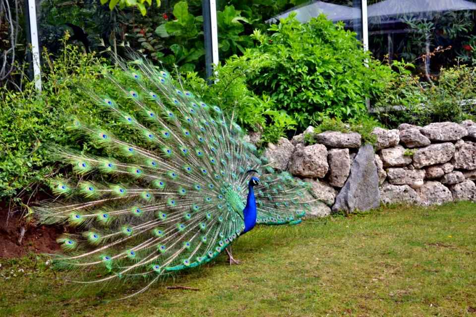 tierpark