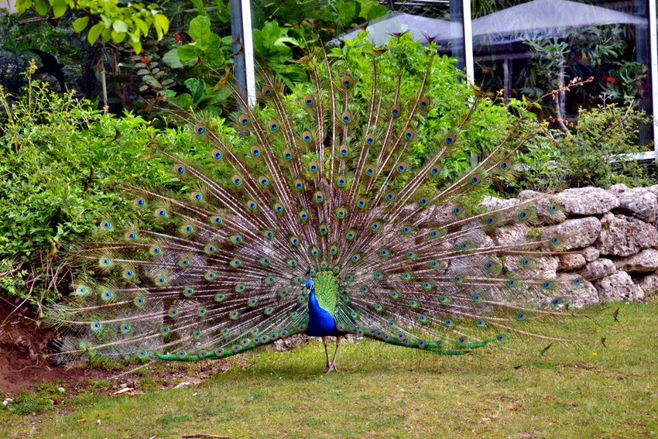 tierpark