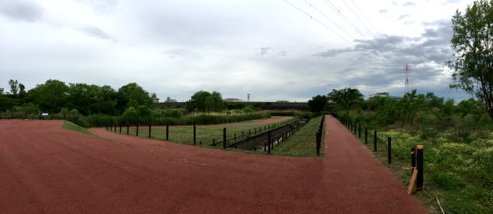 Arakawa Todabashi Ecological Garden 1