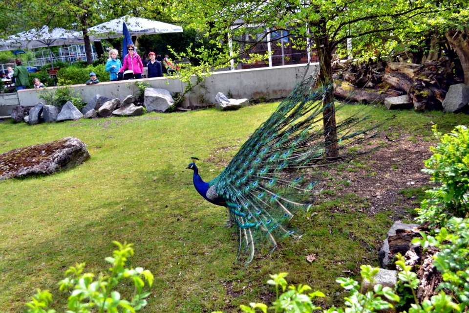 tierpark