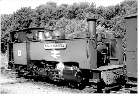 Rheidol Valley (BR) photo