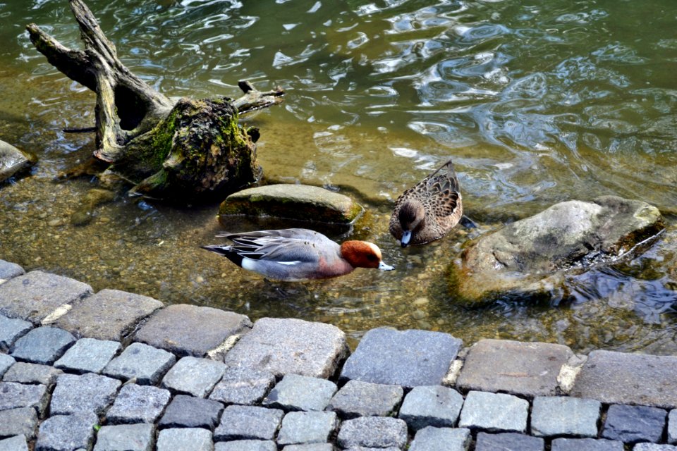 tierpark