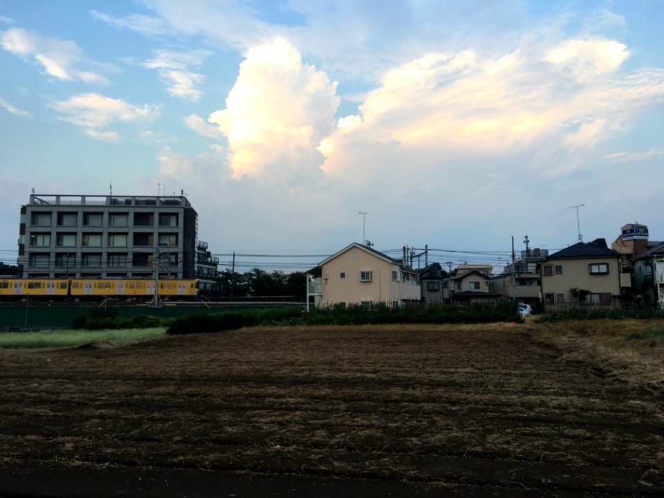 Honcho in Higashikurume-shi