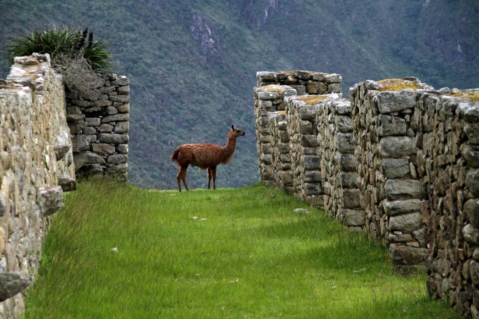 South america ancient
