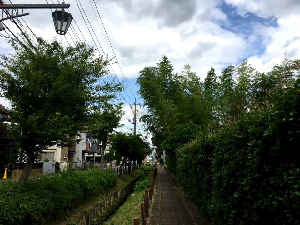 Koyama in Higashikurume-shi