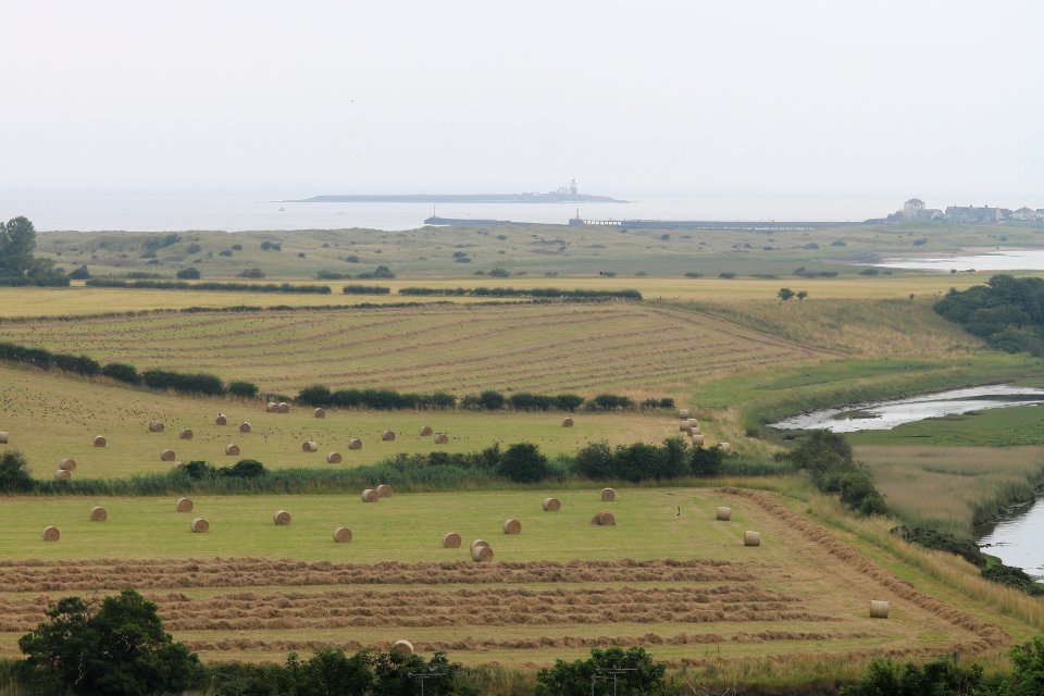 Northumber-farm-land 05