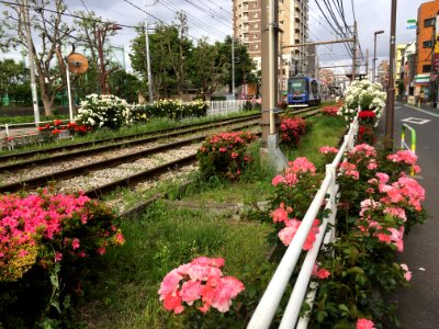 Toden-Arakawa Line in Nishiogu, Arakawa-ku, Tokyo 2