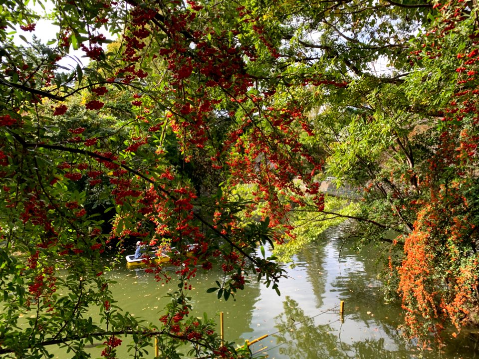 Musashiseki Park in Nerima-ku