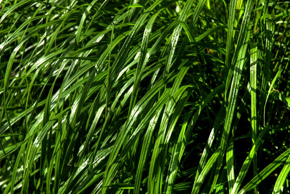 Wind the waves nature