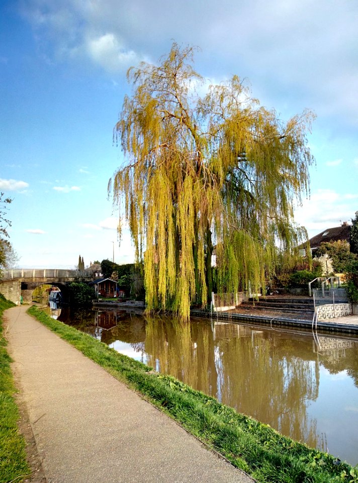 Towpath Walks photo